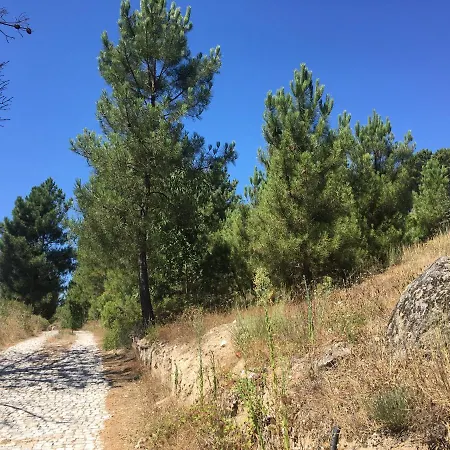 Quinta Da Marialva Mangualde