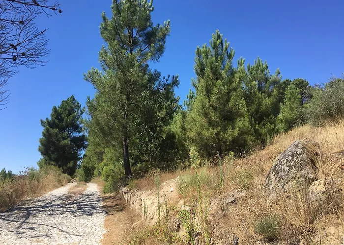 Quinta Da Marialva Мангуалди