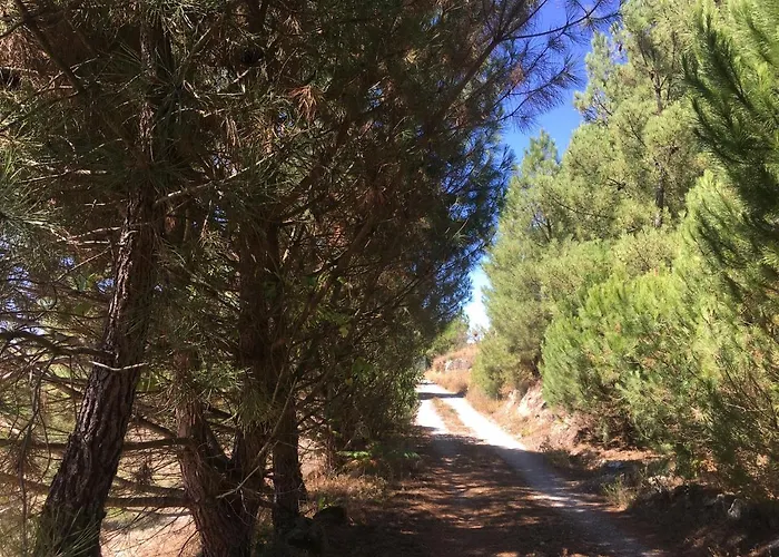 Вилла Quinta Da Marialva