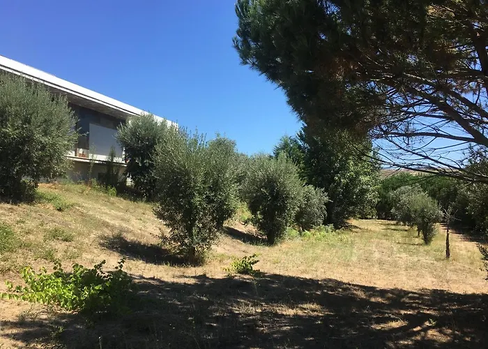 Quinta Da Marialva Villa *